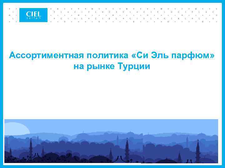 Ассортиментная политика «Си Эль парфюм» на рынке Турции 