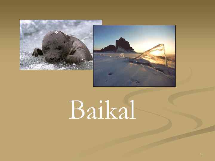 Baikal 1 