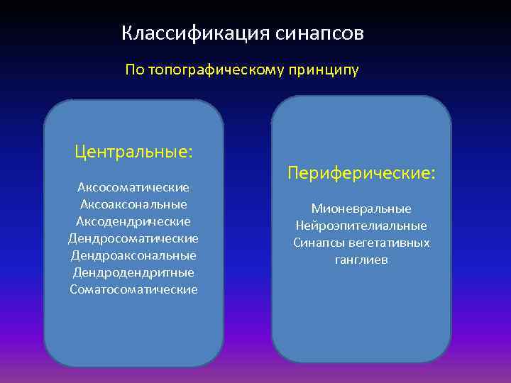 Классификация синапсов По топографическому принципу Центральные: Аксосоматические Аксоаксональные Аксодендрические Дендросоматические Дендроаксональные Дендродендритные Соматосоматические Периферические: