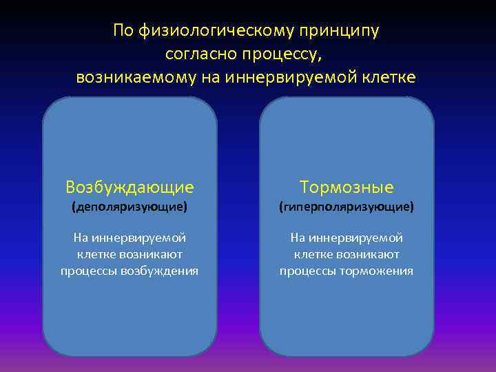 По физиологическому принципу согласно процессу, возникаемому на иннервируемой клетке Возбуждающие Тормозные (деполяризующие) (гиперполяризующие) На