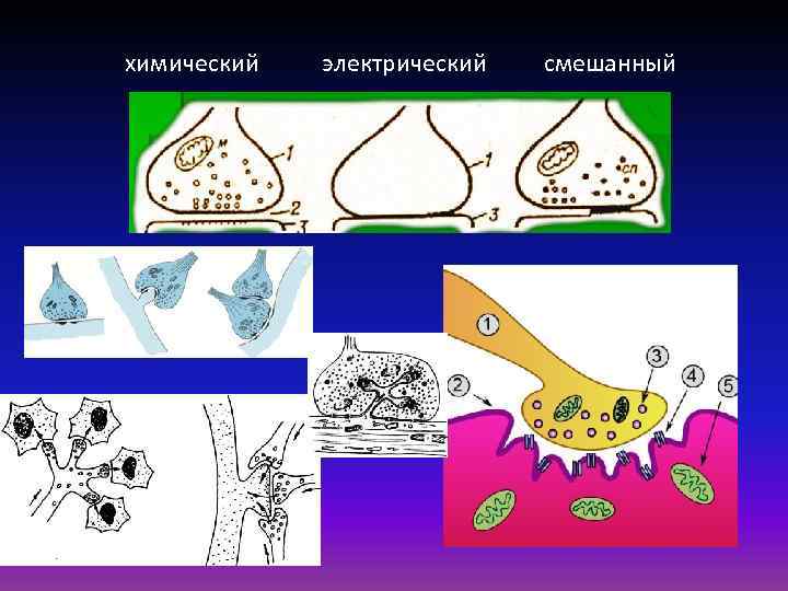 химический электрический смешанный 