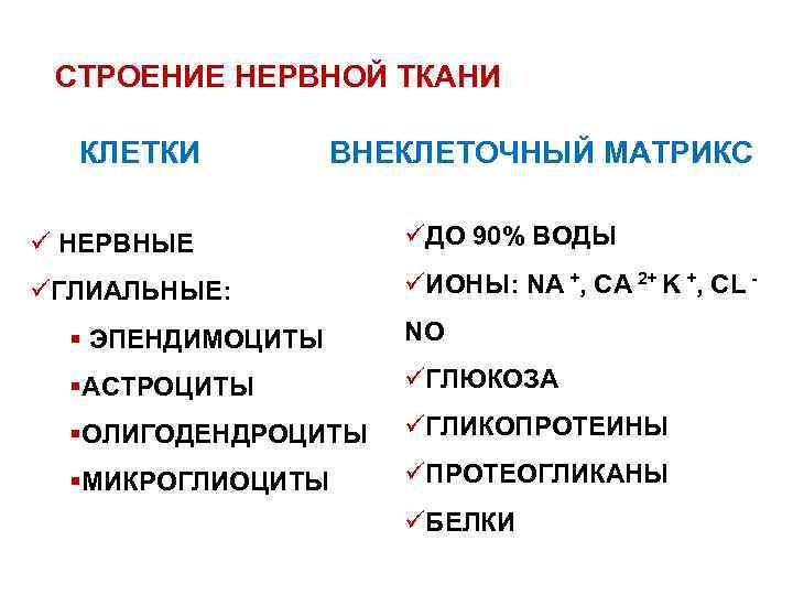 СТРОЕНИЕ НЕРВНОЙ ТКАНИ КЛЕТКИ ВНЕКЛЕТОЧНЫЙ МАТРИКС ü НЕРВНЫЕ üДО 90% ВОДЫ üГЛИАЛЬНЫЕ: üИОНЫ: NA