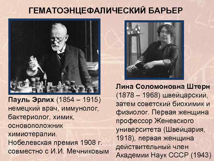 ГЕМАТОЭНЦЕФАЛИЧЕСКИЙ БАРЬЕР Лина Соломоновна Штерн (1878 – 1968) швейцарский, Пауль Эрлих (1854 – 1915)