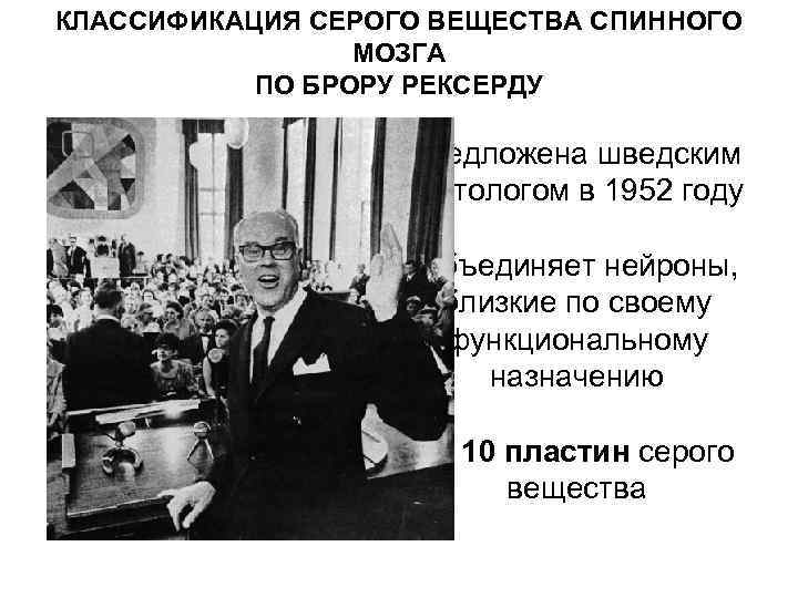 КЛАССИФИКАЦИЯ СЕРОГО ВЕЩЕСТВА СПИННОГО МОЗГА ПО БРОРУ РЕКСЕРДУ предложена шведским гистологом в 1952 году