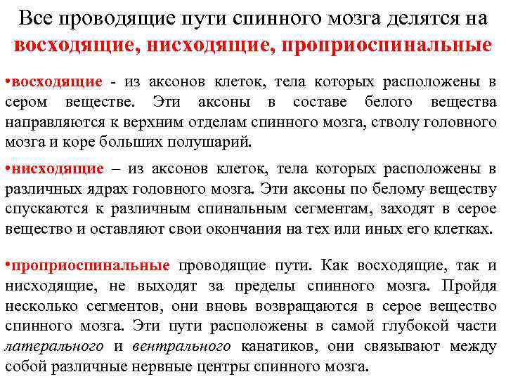 Все проводящие пути спинного мозга делятся на восходящие, нисходящие, проприоспинальные • восходящие - из