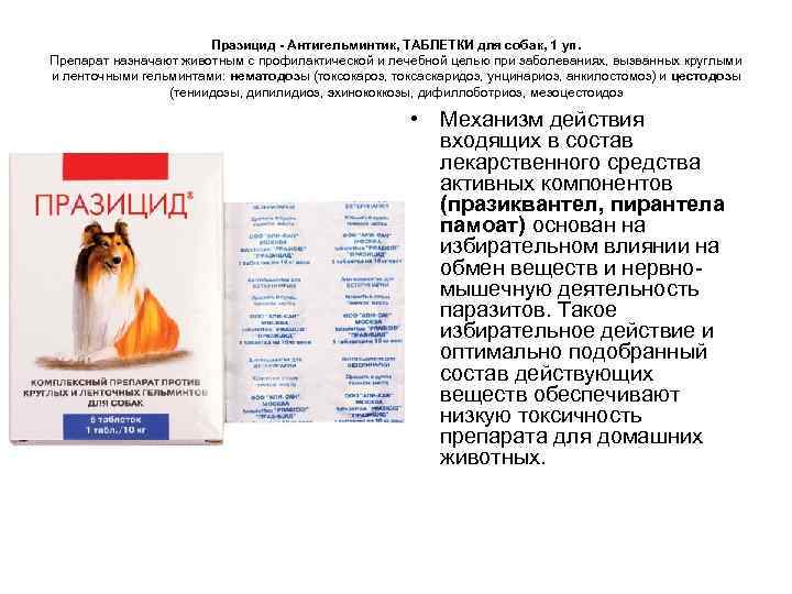 Празицид - Антигельминтик, ТАБЛЕТКИ для собак, 1 уп. Препарат назначают животным с профилактической и