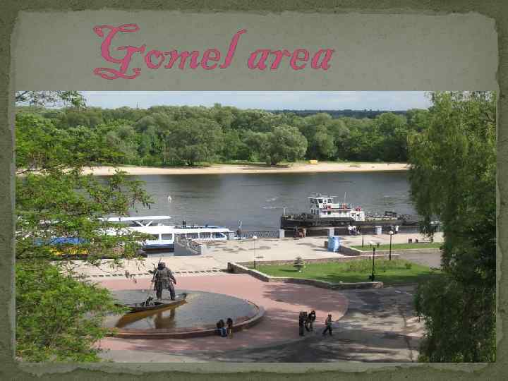 Gomel area 