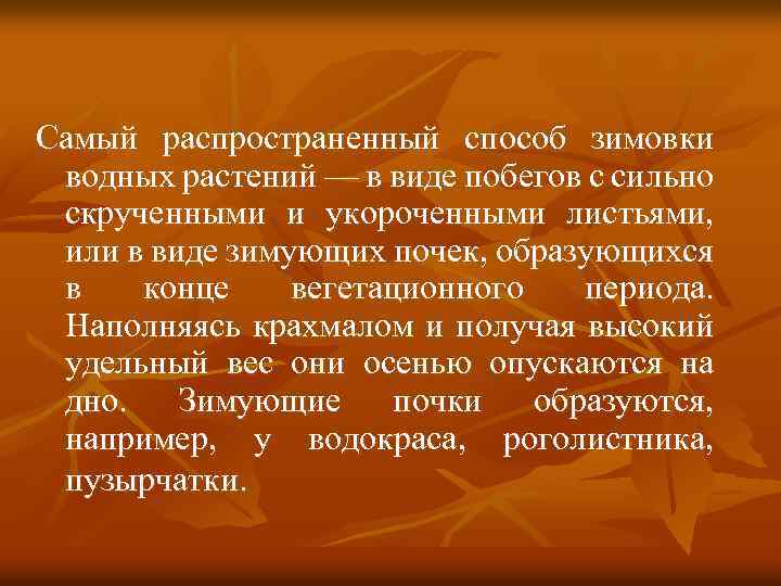 Самый распространенный способ зимовки водных растений — в виде побегов с сильно скрученными и