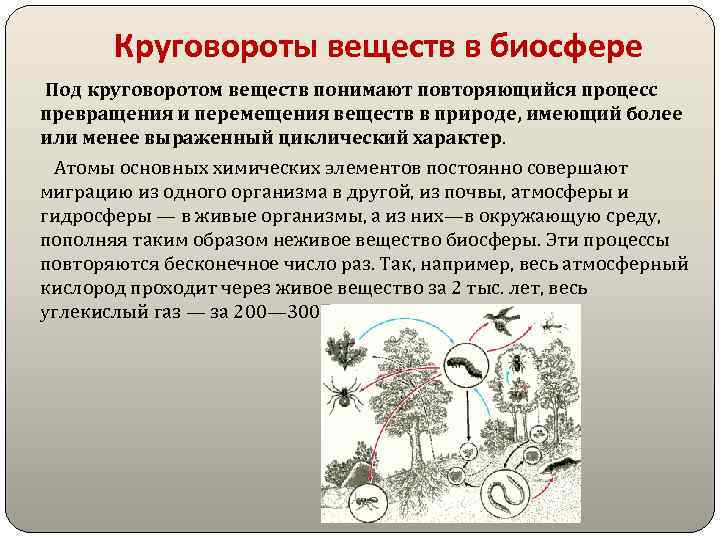Круговороты веществ в биосфере Под круговоротом веществ понимают повторяющийся процесс превращения и перемещения веществ