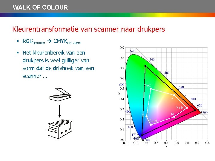 WALK OF COLOUR Kleurentransformatie van scanner naar drukpers § RGBscanner CMYKdrukpers § Het kleurenbereik