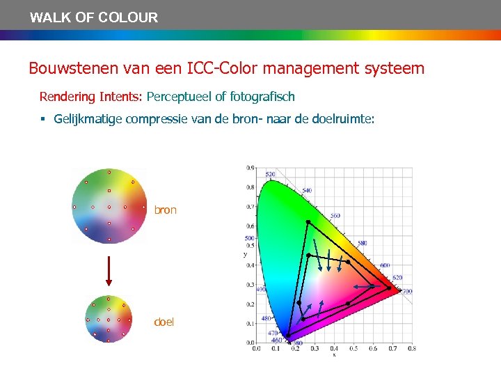 WALK OF COLOUR Bouwstenen van een ICC-Color management systeem Rendering Intents: Perceptueel of fotografisch