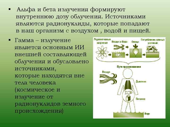 § Альфа и бета излучения формируют внутреннюю дозу облучения. Источниками являются радионуклиды, которые попадают