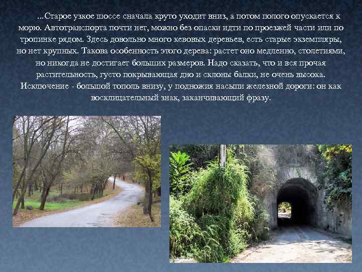  . . . Старое узкое шоссе сначала круто уходит вниз, а потом полого