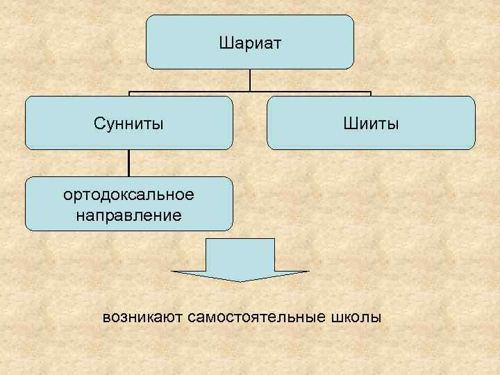 Шариат Сунниты Шииты ортодоксальное направление возникают самостоятельные школы 