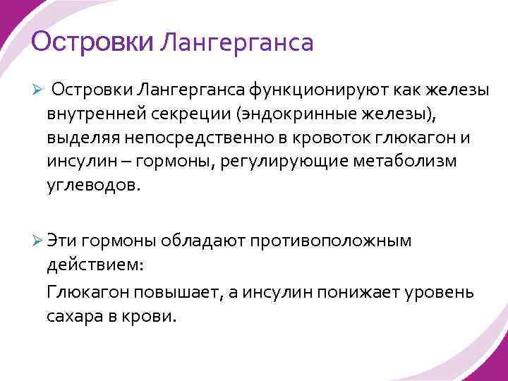 Островки Лангерганса Ø Островки Лангерганса функционируют как железы внутренней секреции (эндокринные железы), выделяя непосредственно