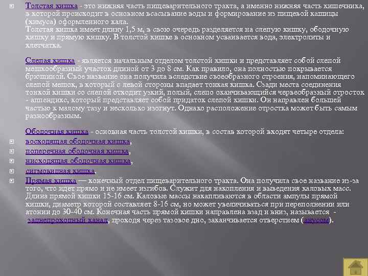  Толстая кишка это нижняя часть пищеварительного тракта, а именно нижняя часть кишечника, в