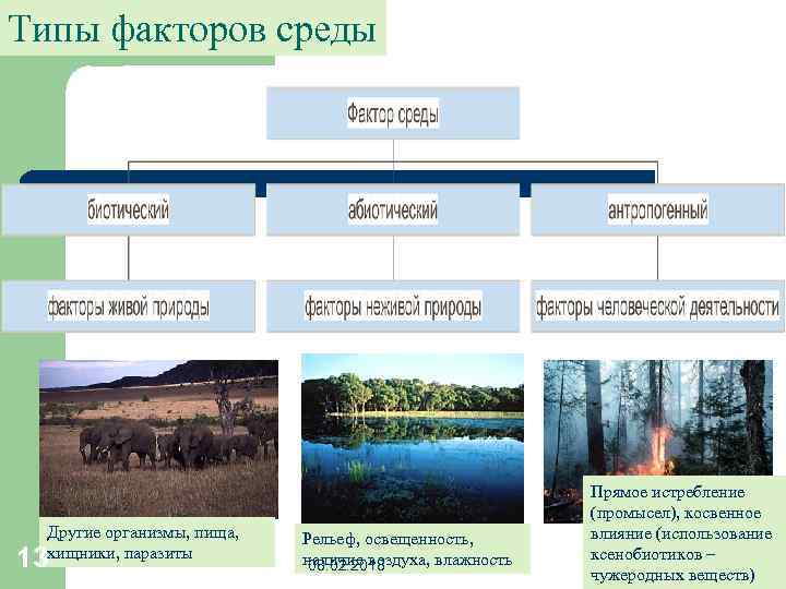 Комплекс факторов среды. Типы факторов среды. Лесотундра абиотические факторы. Тундра факторы среды. Абиотические факторы тундры.