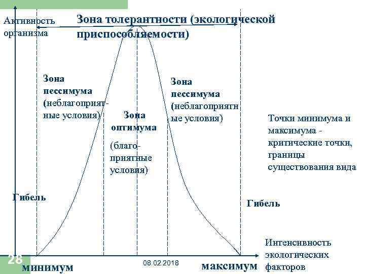 Факторы среды на организмы