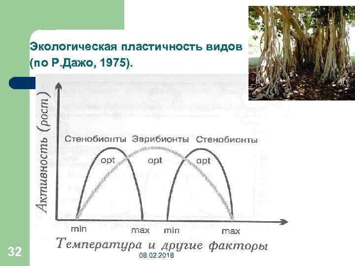 Экологическая пластичность видов (по Р. Дажо, 1975). 32 08. 02. 2018 