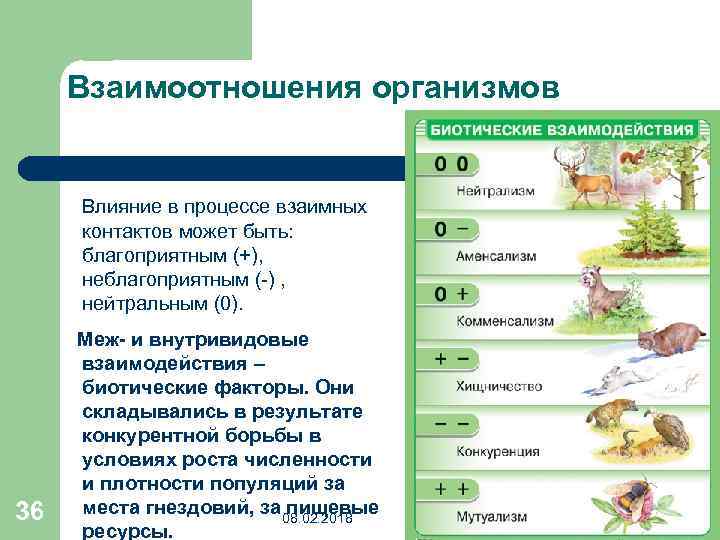 Какая среда обитания организмов паразитов