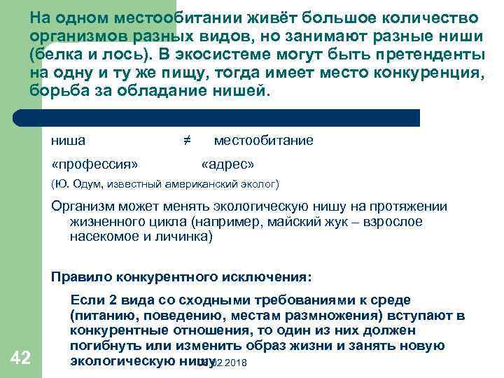 На одном местообитании живёт большое количество организмов разных видов, но занимают разные ниши (белка