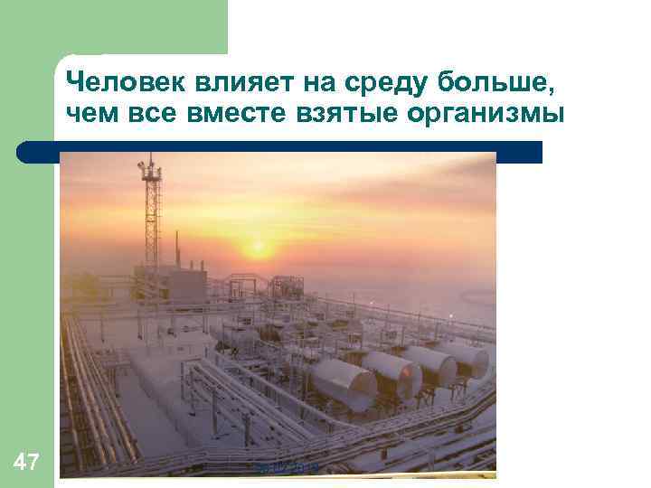 Человек влияет на среду больше, чем все вместе взятые организмы 47 08. 02. 2018