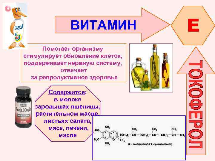 ВИТАМИН Помогает организму стимулирует обновление клеток, поддерживает нервную систему, отвечает за репродуктивное здоровье Содержится: