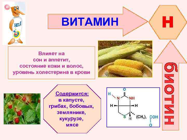 ВИТАМИН Влияет на сон и аппетит, состояние кожи и волос, уровень холестерина в крови