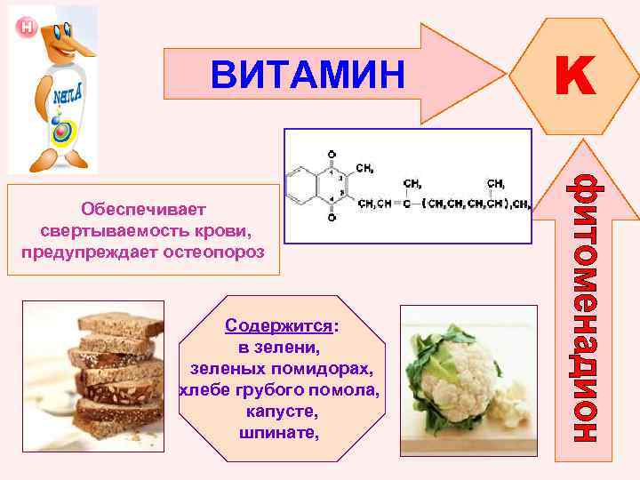 ВИТАМИН Обеспечивает свертываемость крови, предупреждает остеопороз Содержится: в зелени, зеленых помидорах, хлебе грубого помола,