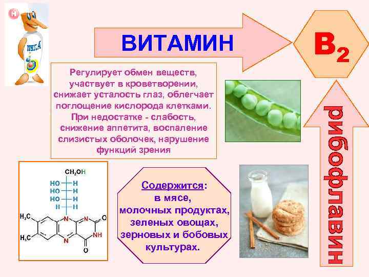 ВИТАМИН Регулирует обмен веществ, участвует в кроветворении, снижает усталость глаз, облегчает поглощение кислорода клетками.