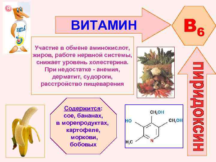 ВИТАМИН Участие в обмене аминокислот, жиров, работе нервной системы, снижает уровень холестерина. При недостатке