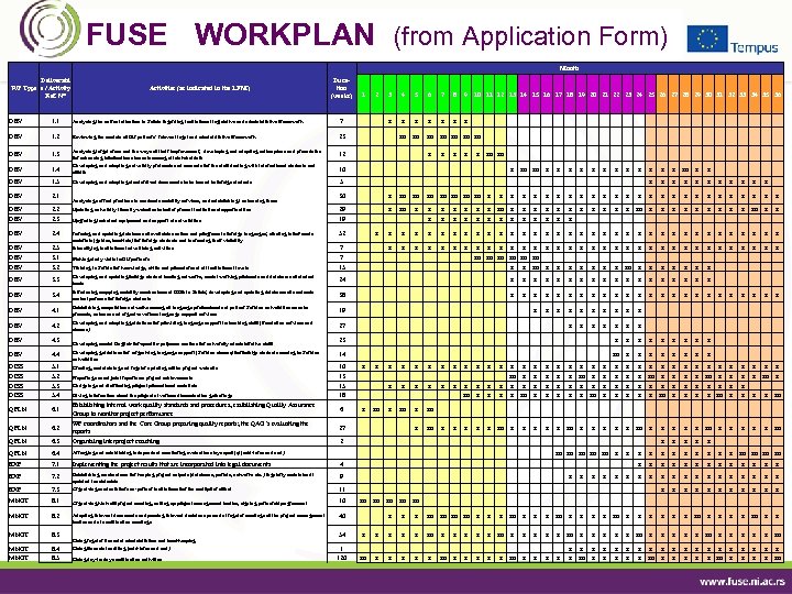 FUSE WORKPLAN (from Application Form) Month Deliverabl WP Type e / Activity Ref. N°
