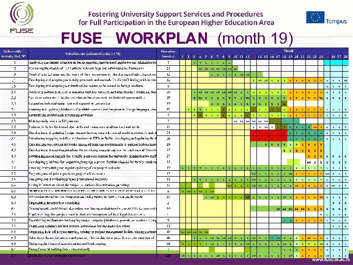 FUSE WORKPLAN (month 19) 