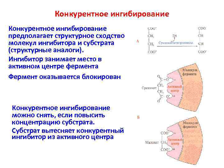 Схема конкурентного ингибирования