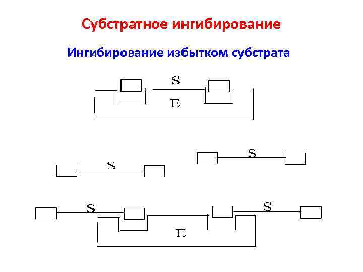 Субстратное ингибирование Ингибирование избытком субстрата 