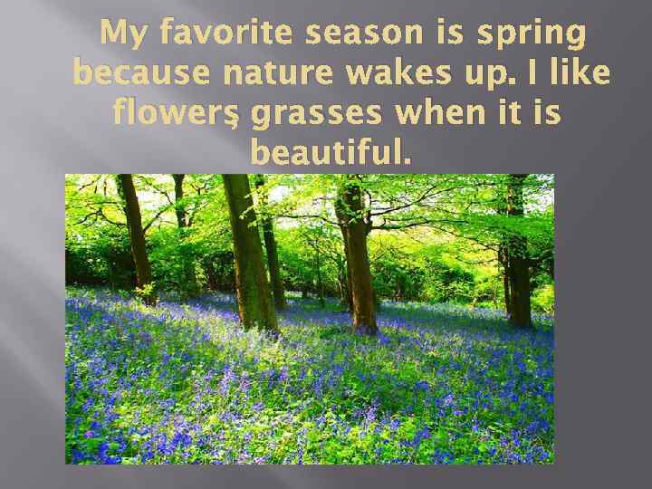 My favorite season is spring because nature wakes up. I like , flowers grasses