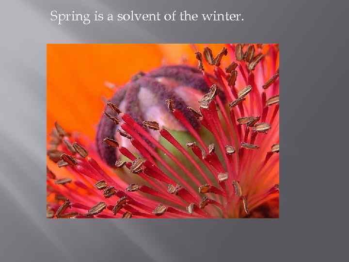 Spring is a solvent of the winter. 