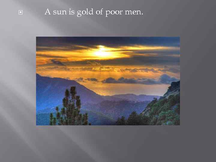  A sun is gold of poor men. 