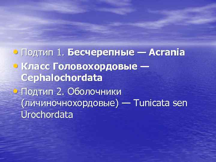  • Подтип 1. Бесчерепные — Acrania • Класс Головохордовые — Cephalochordata • Подтип