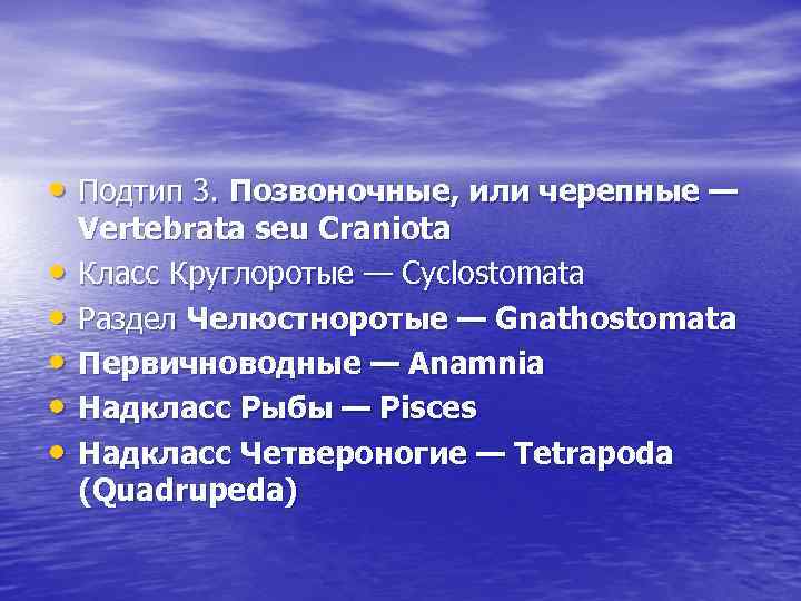  • Подтип 3. Позвоночные, или черепные — • • • Vertebrata seu Craniota