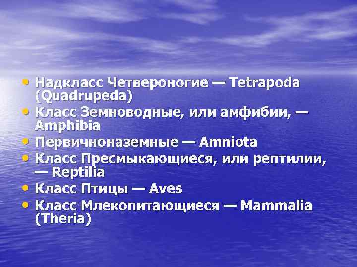  • Надкласс Четвероногие — Tetrapoda • • • (Quadrupeda) Класс Земноводные, или амфибии,