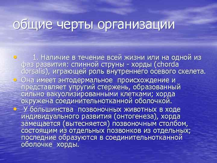 общие черты организации • • • 1. Наличие в течение всей жизни или на