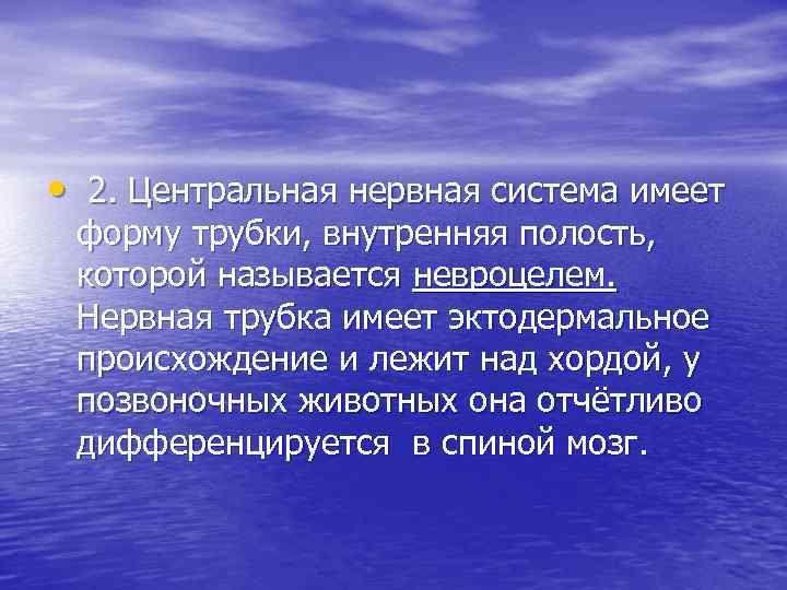  • 2. Центральная нервная система имеет форму трубки, внутренняя полость, которой называется невроцелем.