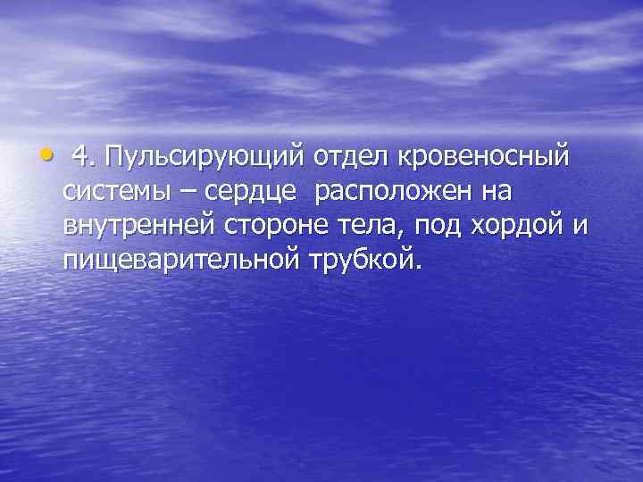  • 4. Пульсирующий отдел кровеносный системы – сердце расположен на внутренней стороне тела,