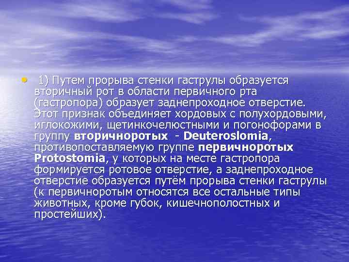  • 1) Путем прорыва стенки гаструлы образуется вторичный рот в области первичного рта