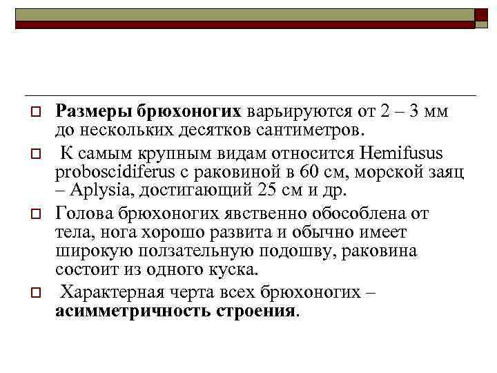 o o Размеры брюхоногих варьируются от 2 – 3 мм до нескольких десятков сантиметров.