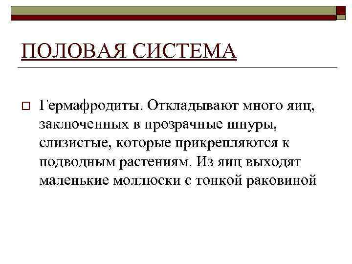 ПОЛОВАЯ СИСТЕМА o Гермафродиты. Откладывают много яиц, заключенных в прозрачные шнуры, слизистые, которые прикрепляются
