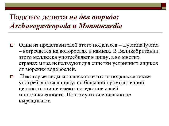 Подкласс делится на два отряда: Archaeogastropoda и Monotocardia o o Один из представителей этого