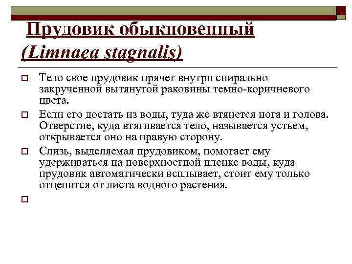  Прудовик обыкновенный (Limnaea stagnalis) o o Тело свое прудовик прячет внутри спирально закрученной