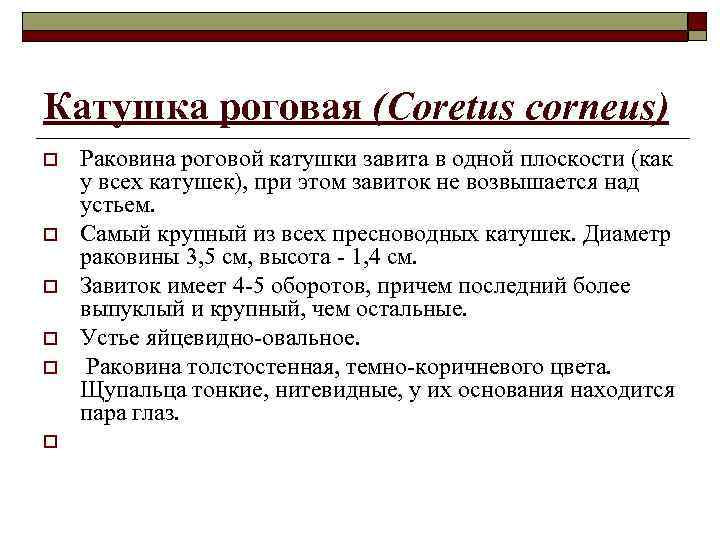 Катушка роговая (Coretus corneus) o o o Раковина роговой катушки завита в одной плоскости